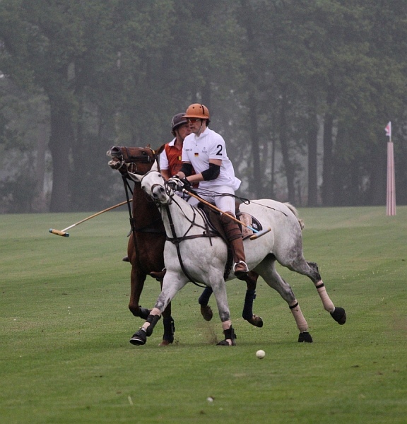 Polo_Art   084.jpg